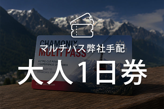 マルチパス（弊社手配）大人１日券
